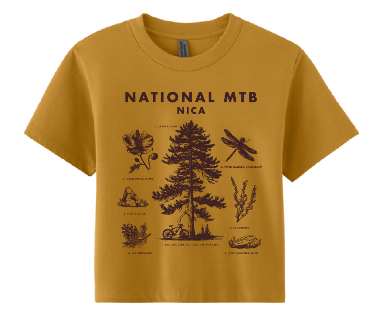 NICA Found Boxy Tee